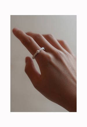 Garden Ring