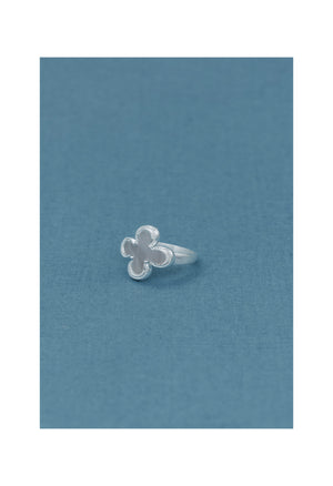 Hidden Ring